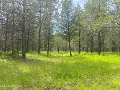 NNA Red Fir Rd, Athol, ID 83801 - photo 3