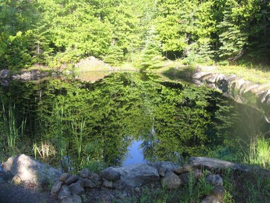 Pond