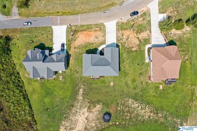 2670 Word Mountain Rd, Grant, AL 35747 - photo 6