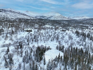 3-web-or-mls-aerial_6226 Redtop Cir03