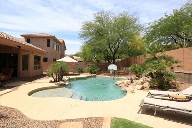 backyard3
