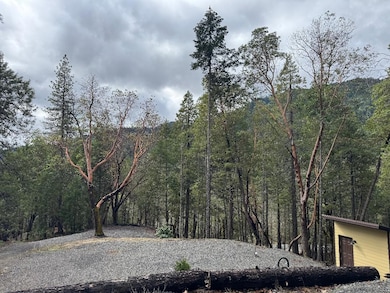 36510 Ditch Creek Rd, Rogue River, OR 97537 - photo 3