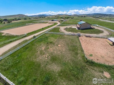 Stunning horse set up