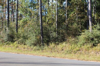 3.9 Basin-Central Rd, Lucedale, MS 39452 - photo 5