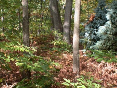 18654 Old Field Rd unit 3, New Buffalo Township, MI 49117 - photo 2