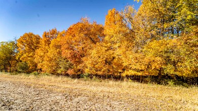 +/-46 Acres Bee Ln, Lancaster, WI 53813 - photo 3