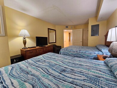 Bedroom with electric panel and a closet