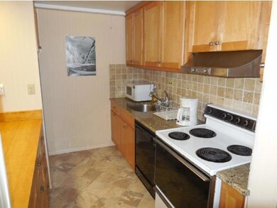 1275 Notchbrook Rd unit 18AB, Stowe, VT 05672 - photo 5