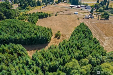 0 Xx Markley St, Raymond, WA 98577 - photo 4