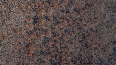 0 Arkansas 265, West Fork, AR 72774 - photo 7