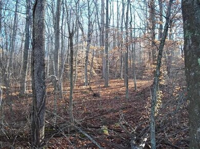 360 Pumpkin Hollow Rd, Somerset, KY 42501 - photo 2