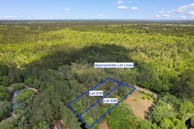 Birds eye view of property with a forest view