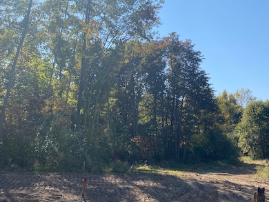 3165 Elk Antler Ave unit 1, Plainwell, MI 49080 - photo 7