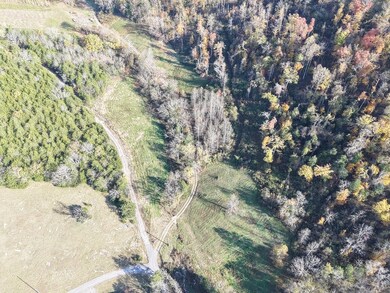 270 Higgins Rd, Woodbury, TN 37190 - photo 5