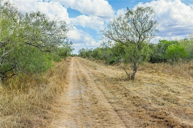 1121 County Road 481, Alice, TX 78332 - photo 6