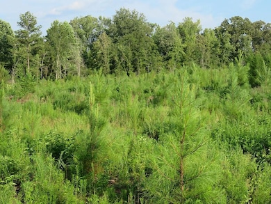 0 County Line Rd, Lumpkin, GA 31815 - photo 7