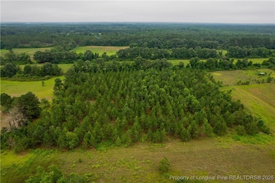 1157 Gainey Rd, Raeford, NC 28376 - photo 5