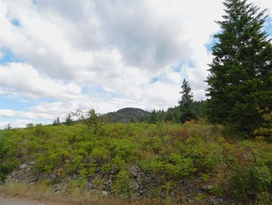 32701 Delaro Ranch Rd, Bigfork, MT 59911 - photo 4