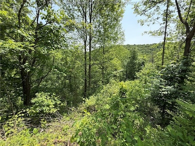 160 Pine St, Charleston, WV 25311 - photo 2