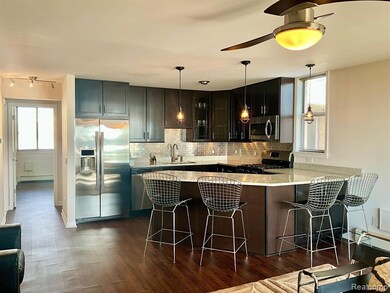 Open-Concept Kitchen/Living