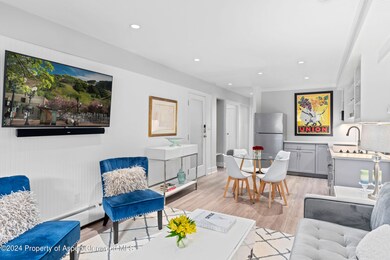 980 E Hyman Ave unit 5, Aspen, CO 81611 - photo 7