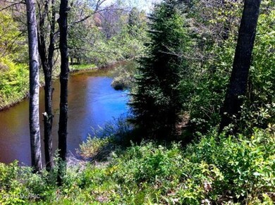PM River