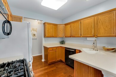 1586 Orchard Cir unit 3804, Naperville, IL 60565 - photo 3