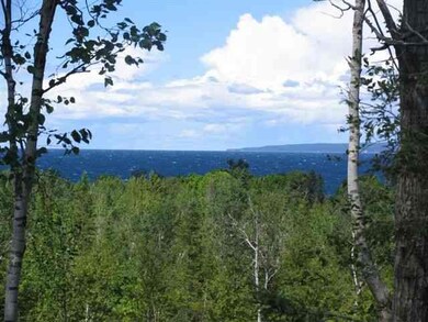 Parcel 16 Summerhill Way unit Summerhill, Hayes Township, MI 49720 - photo 2