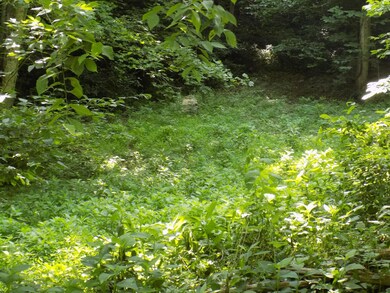 DSCN0741