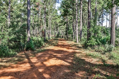 0 Old Zebulon Rd unit 25091897, Forsyth, GA 31029 - photo 3