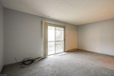 Living room with new carpet