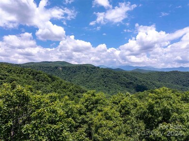 561 N Haven Dr unit T-52, Black Mountain, NC 28711 - photo 4