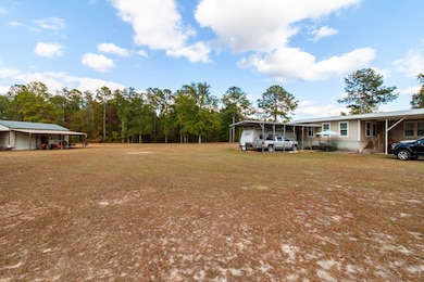 317 Palmer Rd, Bainbridge, GA 39817 - photo 3
