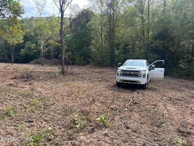 0 unit 1305295, Jamestown, TN 38556 - photo 6