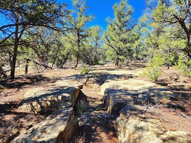 Davids Rock Rd, Pinehill, NM 87357 - photo 3