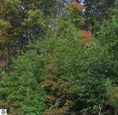 0 Morrison Rd unit 1899385, Alger, MI 48610 - photo 2