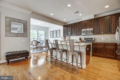 25484 Hopton House Terrace, Chantilly, VA 20152 - photo 4