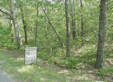 64 Worcester Ave, Oak Bluffs, MA 02557 - photo 2