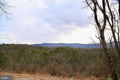 542 Vance Dr, Wardensville, WV 26851 - photo 6