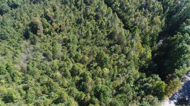 200 Wesley Chapel Rd, Somerset, KY 42501 - photo 4