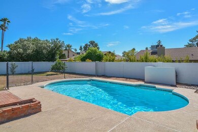 Pool-Backyard