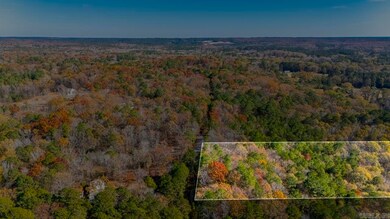 001-09449-000 Prysock Rd, Benton, AR 72015 - photo 6
