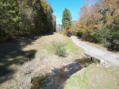 0 Jim Sutton Rd, Leoma, TN 38468 - photo 7