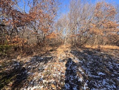 0 NE Camden Rd unit 11614061, Maysville, MO 64469 - photo 3