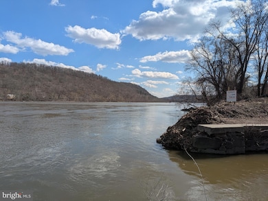 218 Towpath St, New Hope, PA 18938 - photo 7