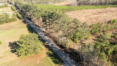 0 Lake Rd, Clinton, SC 29325 - photo 5