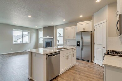 003_Kitchen Evergreen