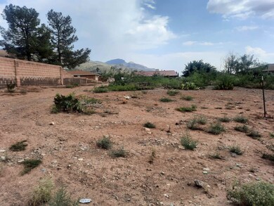 3213 Thunder Rd unit 18, Alamogordo, NM 88310 - photo 4