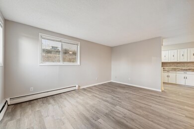 310 Lawson Ave E, Saint Paul, MN 55130 - photo 3