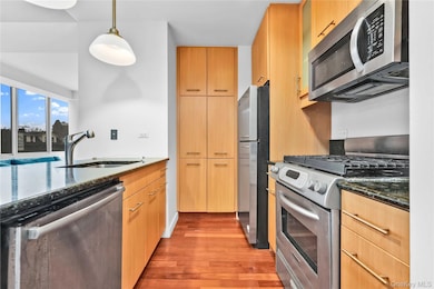 The Windsor at Forest Hills unit 2F, Forest Hills, NY 11375 - photo 7